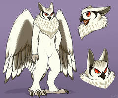 Feathers Reference Sheet