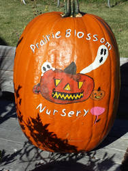 Painting The Pumpkin: Part 6 of 6 In the Sun