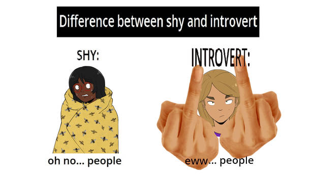 shy vs introvert