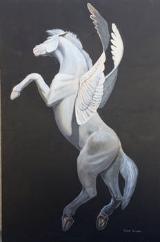 Pegasus