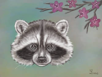 Raccoon Face Painting