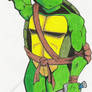 TMNT Leonardo