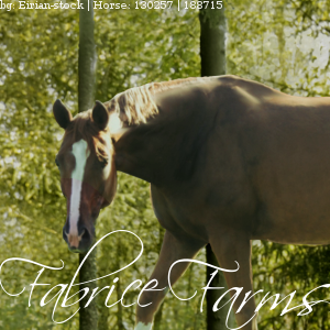 Fabrice Farms Avatar - HEE