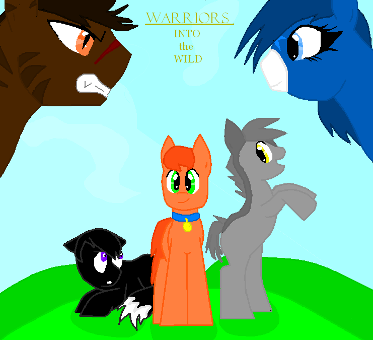 Warrior Cats- Into the Wild by WarriorCat3042 on DeviantArt