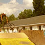 Tailwhip