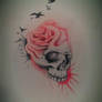 skull and rose sketch