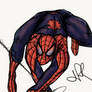 Spidey Sketch