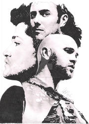 The Script