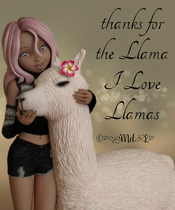 LlamaThanks