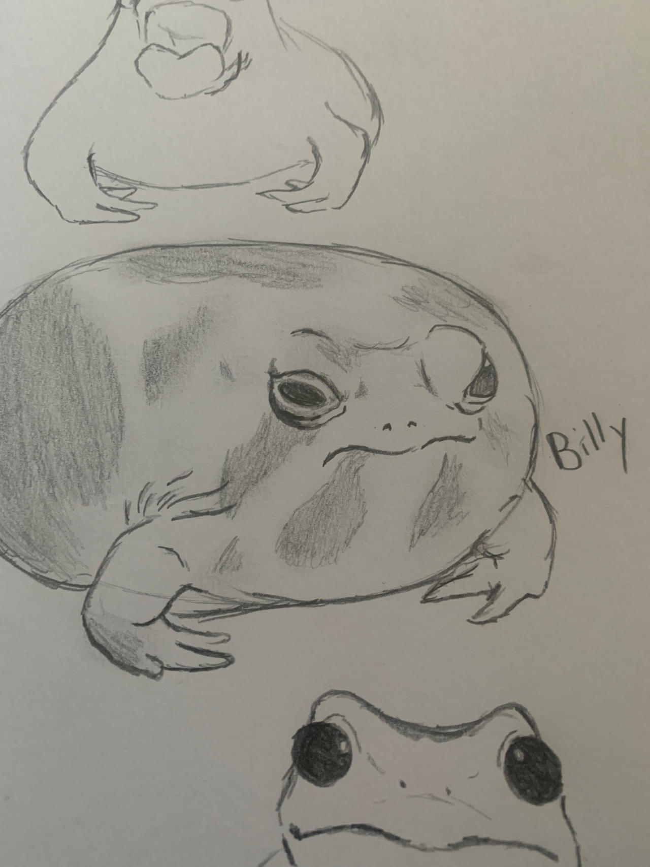 Frogs by FatKish01 on DeviantArt