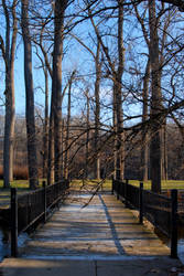 Bridge in a Park