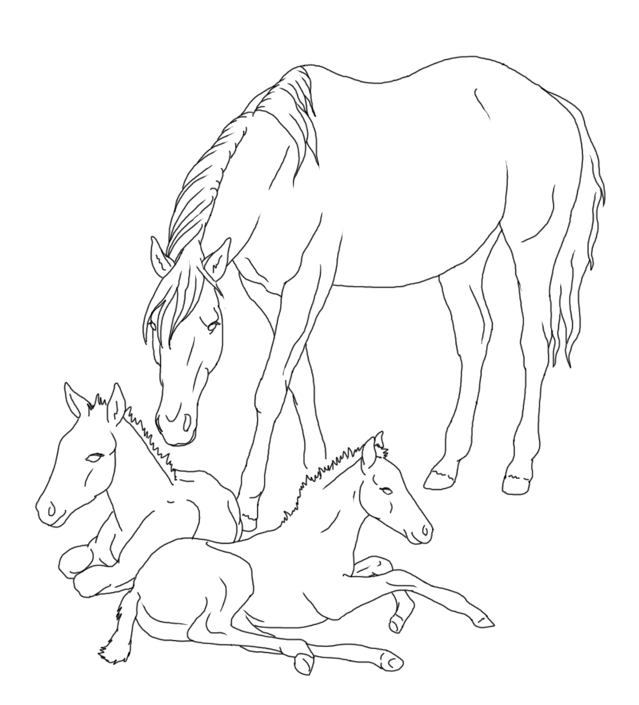 mare with twin foals lineart