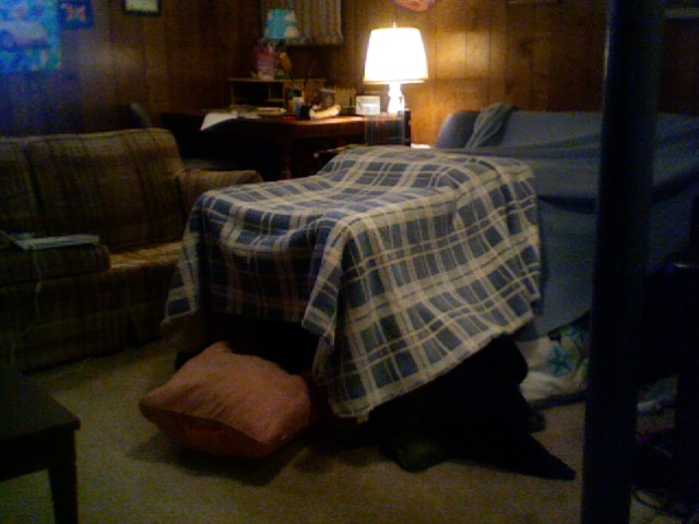 LOOK AT MY FORT