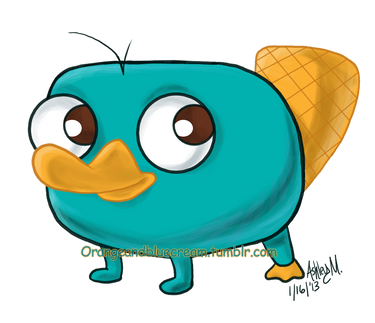 Baby Perry the Platypus