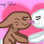 Ships Day 22: Bunny Love