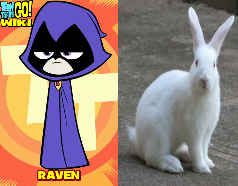 Raven as Rabbit by KaijuZilla21 on DeviantArt