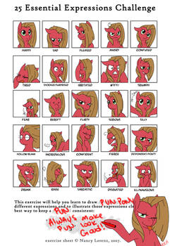 Pun Pony Expression Chart