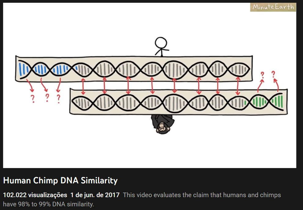Human Chimp Dna Similarity By Guitarseer On Deviantart Human Chimp Dna Similarity By Guitarseer On Deviantart
