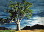 Cazneaux tree Flinders Ranges by Dontheunsane