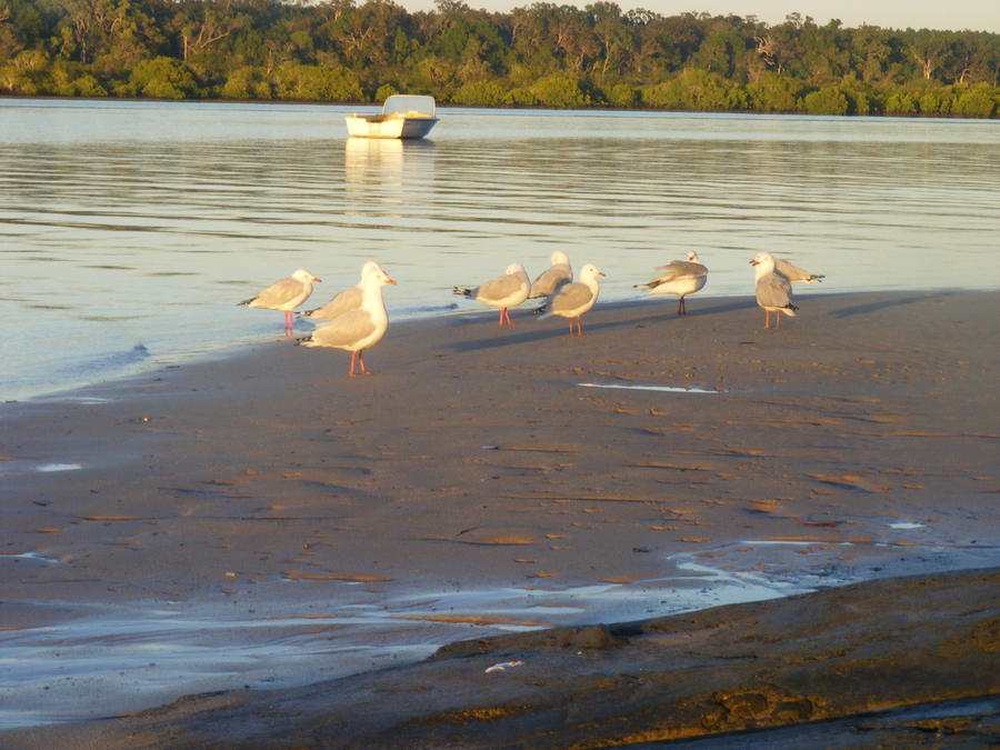 Ebb Tide