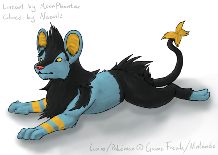 luxio in the name of collab