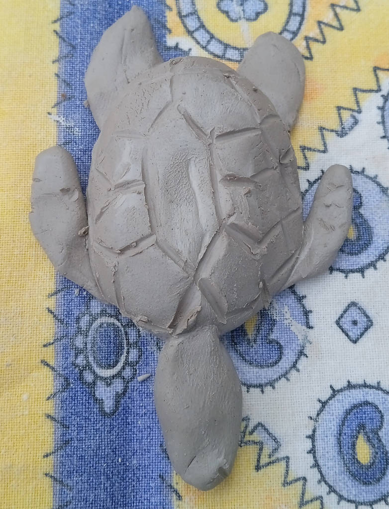 A turtle by jojotequila on DeviantArt