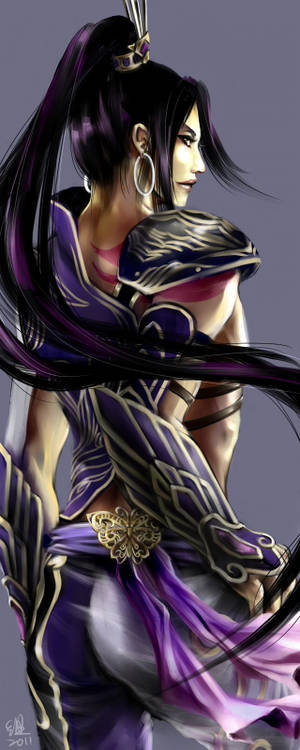 zhang he dynasty warriors 7