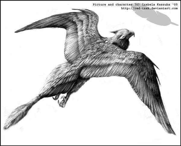 Flying Razorback Drawing Flight by Red-IzaK on DeviantArt