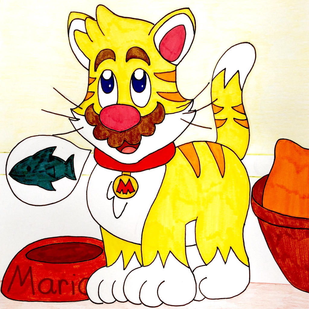 Confused Cat Mario by DankMemebirb360 on DeviantArt  Super mario art, Super  mario bros, Super mario galaxy