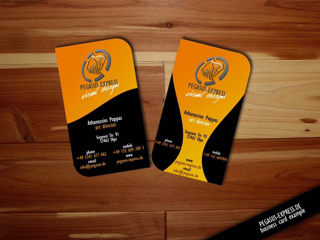 Business Card Example 001