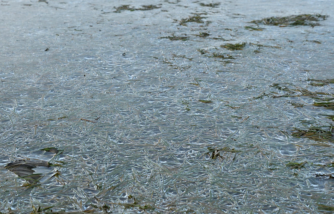 Ice.