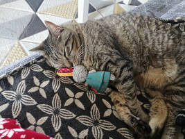 Sleeps with my soft toy