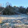 Cold day.