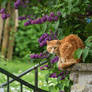 A cat keeping an eye on some magpies.