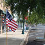 Flag 3