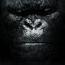 Godzilla Vs. Kong (2020) - Poster # 3