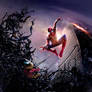 Spider-Man Vs. Venom Poster