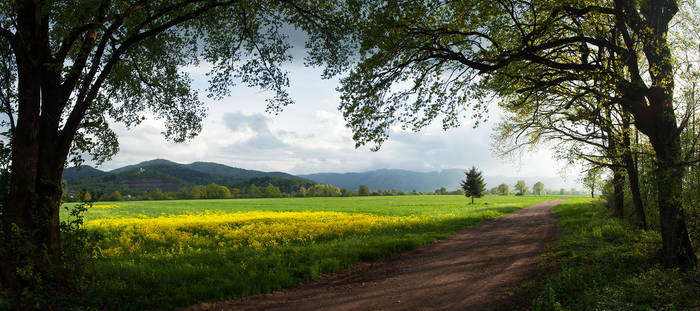 Fields Around Ljubljana