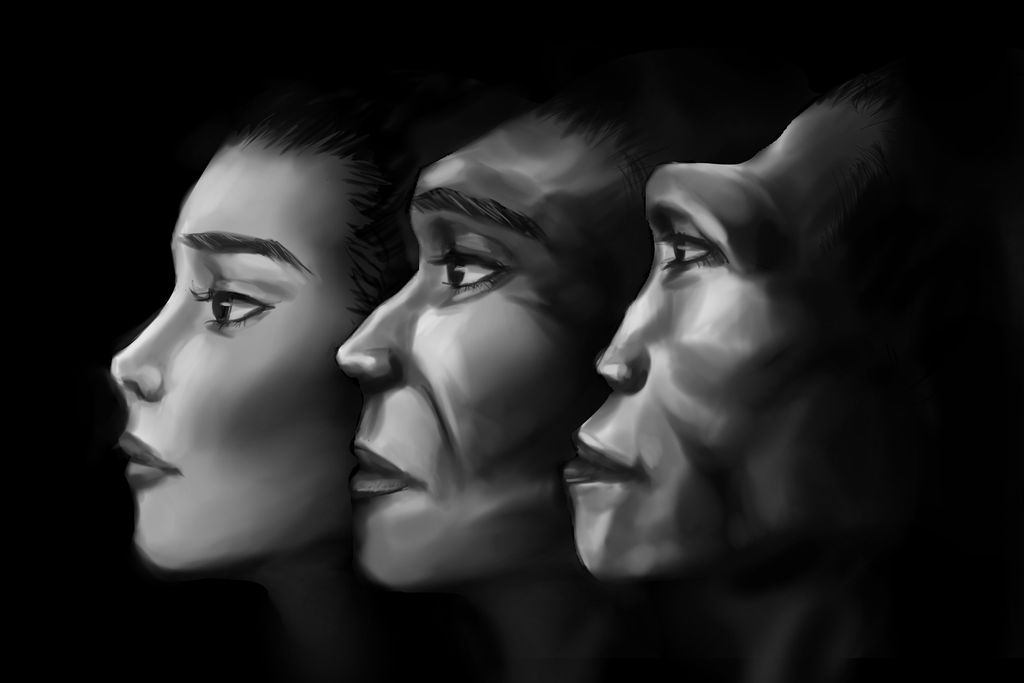 Woman Evolution Deviantart Female Evolution by Kayllalla on DeviantArt