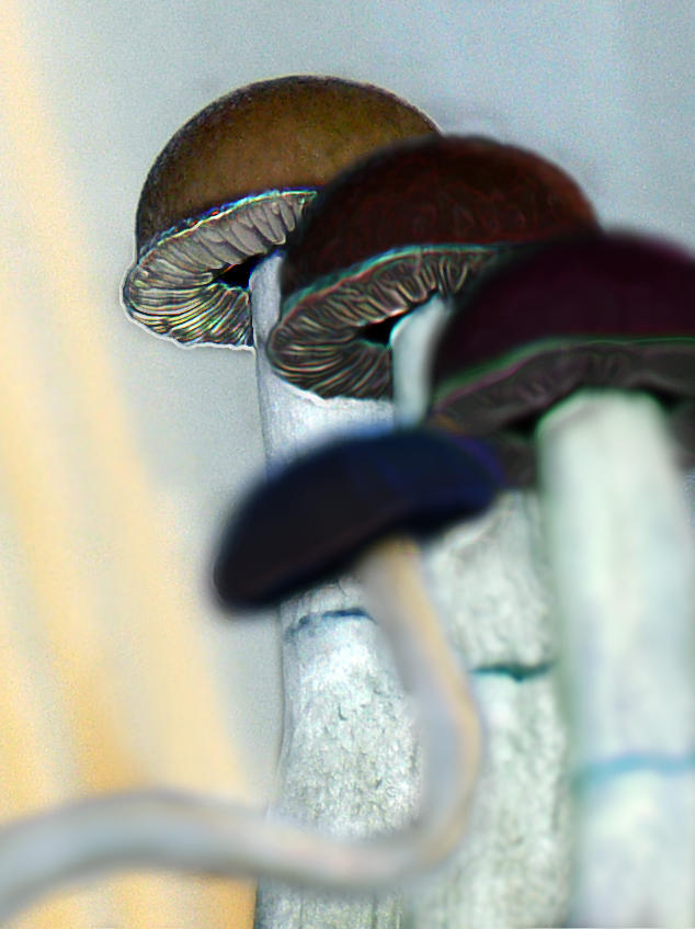 1 cap 2 cap, red cap blue cap by sheepworks on DeviantArt