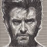 033/365 - Wolverine