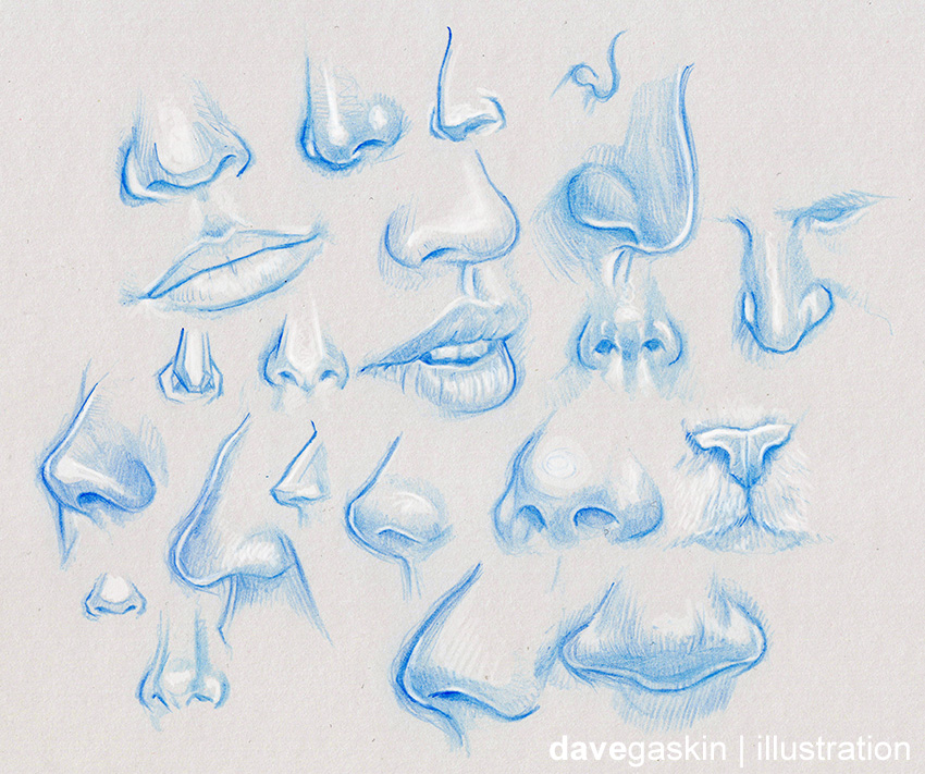 Nose Studies I