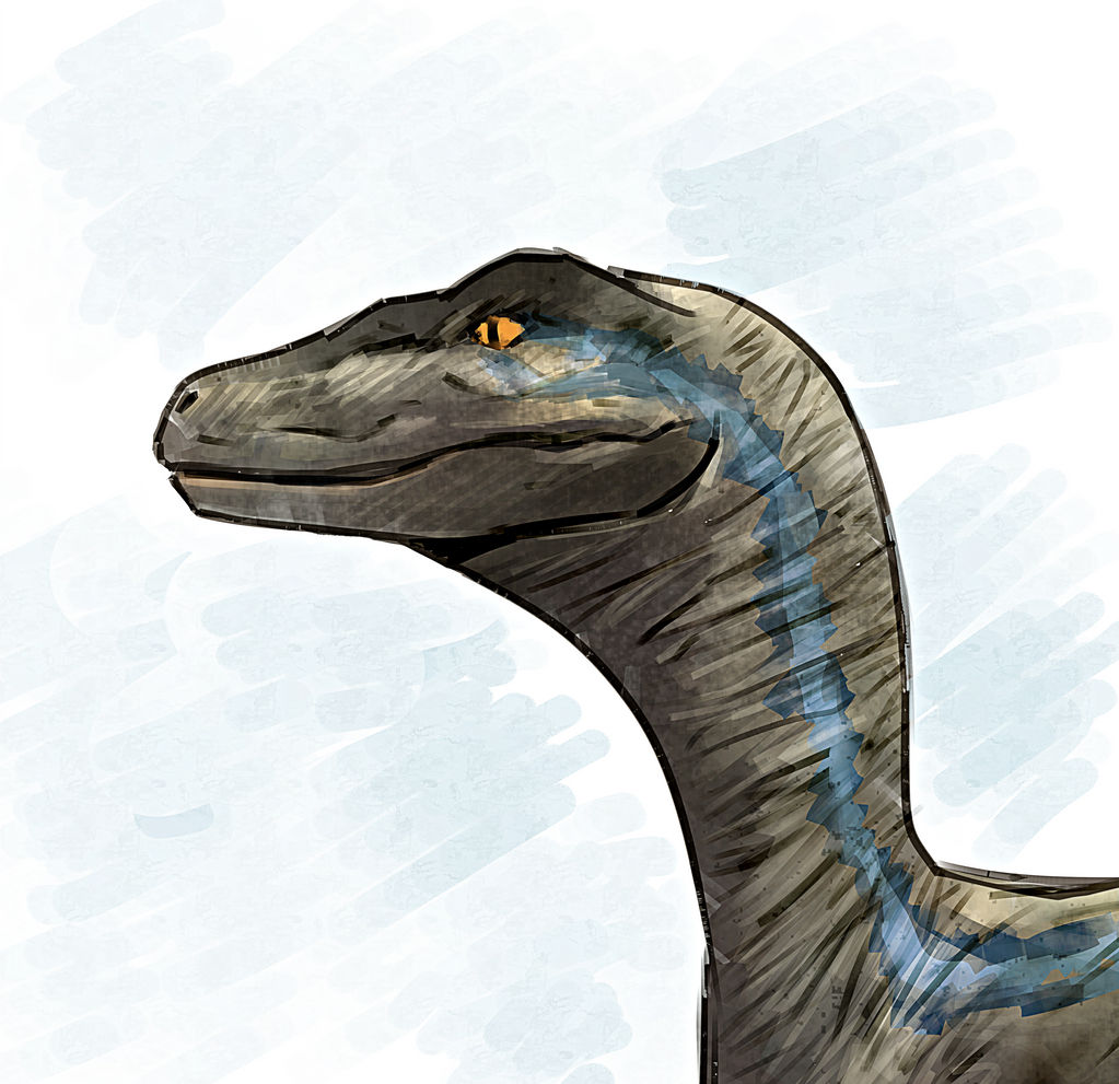 Blue the Velociraptor by Pos23 on DeviantArt