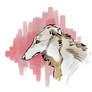 The borzoi