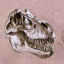 Dino skull sketch