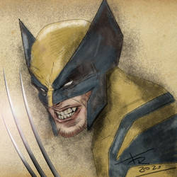 Wolverine