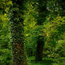 Nature background 11