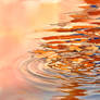 Fall Embrace