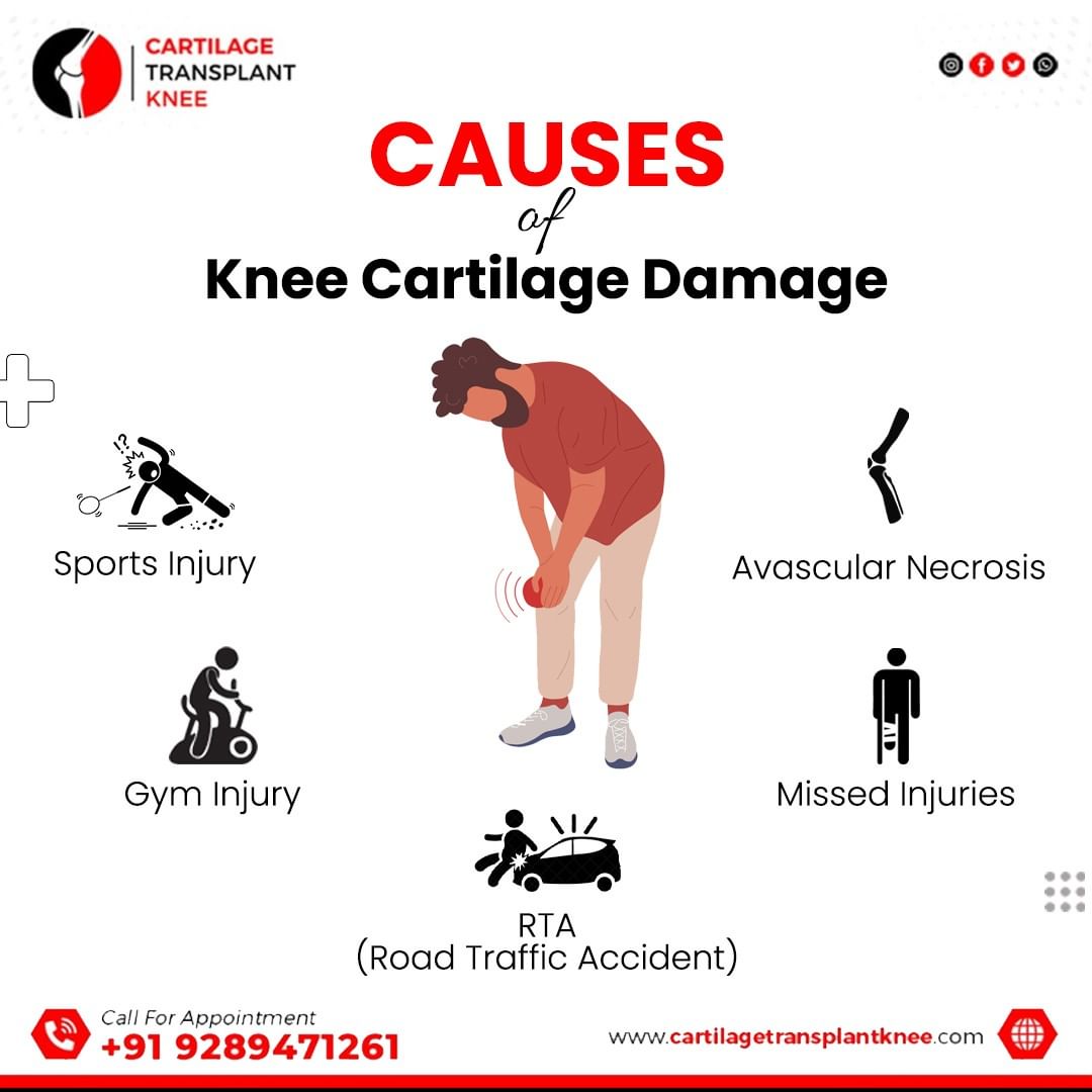 Causes Knee Cartilage Damage by CartilageTransplant on DeviantArt