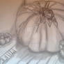 Pumpkins still life study